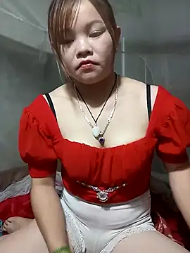 Lan_9x webcam