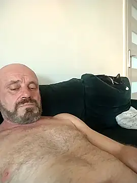 wilkalfa webcam