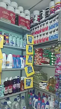 Queen_lorena webcam