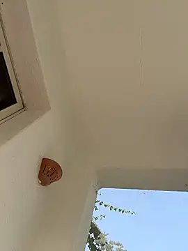 SilkyMira webcam