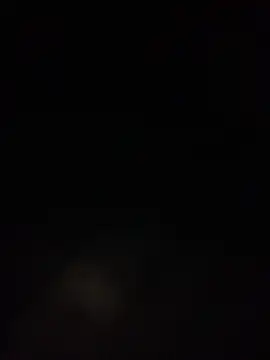 Likewise live sex cam