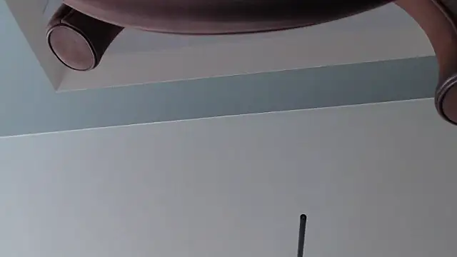 knodli webcam