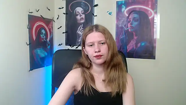 StellaCRL webcam