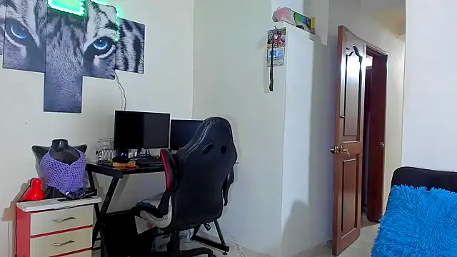 ray_long222 webcam