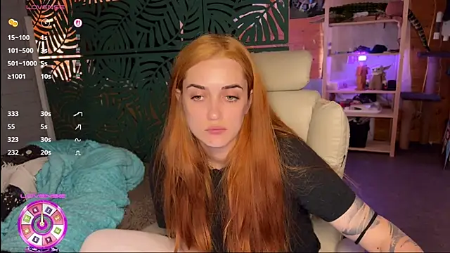 _dota2_ webcam