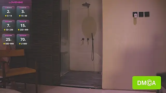 rodeo__drive webcam