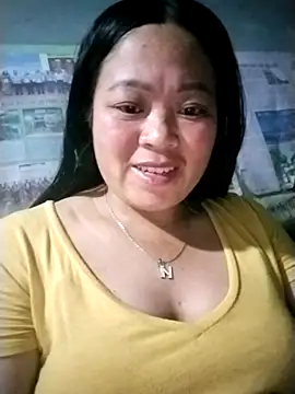 Min-in webcam