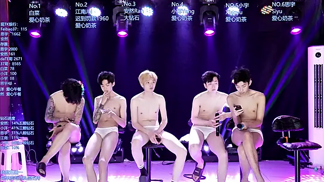 AOA-MIC webcam