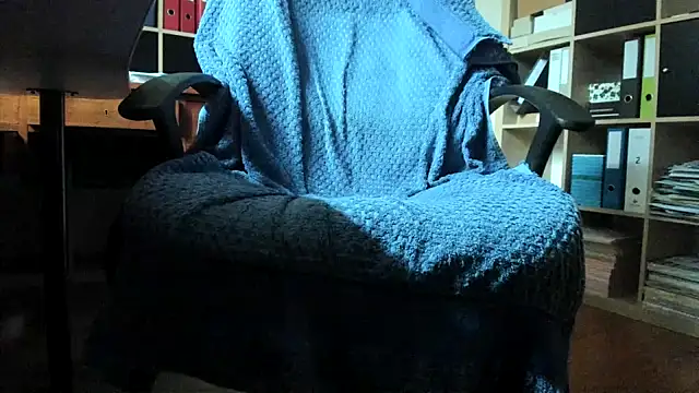 leccaleccafiga webcam