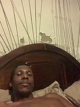DManL webcam