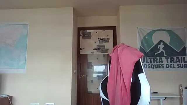 llopaco webcam