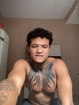 Raphaael2 webcam
