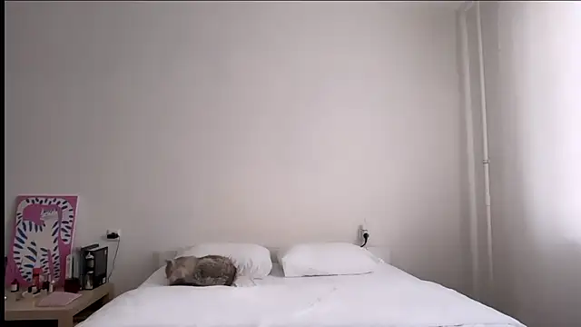 Milky___Way webcam