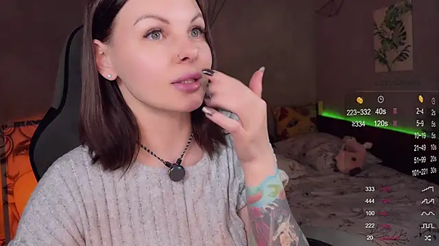 Alaska_ya webcam