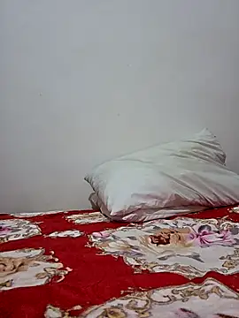 altinya webcam
