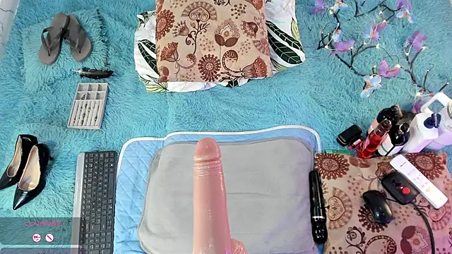 Eilin_clio webcam