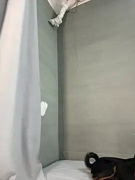 GTnTo_O webcam