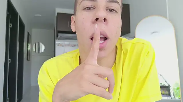 grey___27 webcam