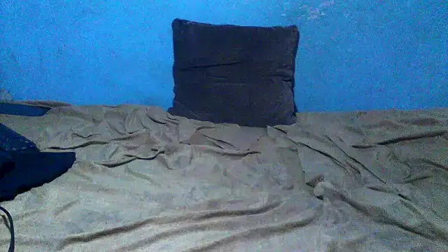little__joy webcam