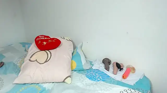 Agatha_browser webcam