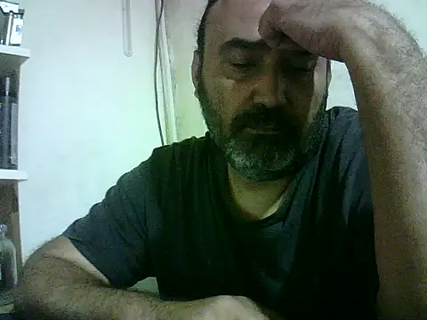 enginbasar webcam