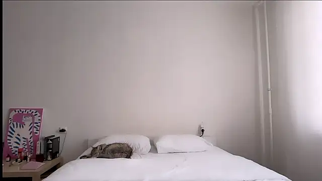 Milky___Way webcam