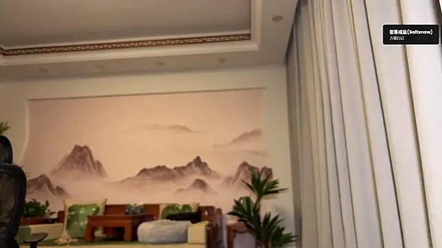 美女meowLili在线直播