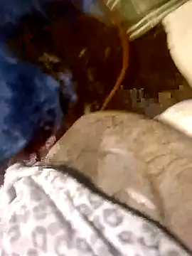 Mrluckstick webcam