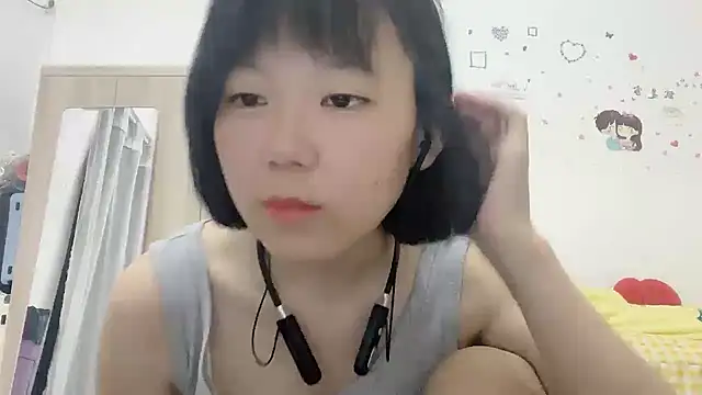 Belle-LL webcam