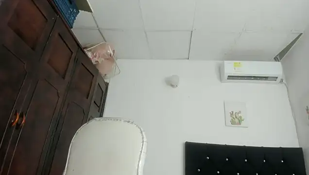 barbie_ds webcam