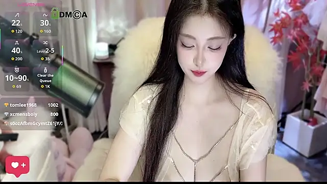 Nni166 webcam