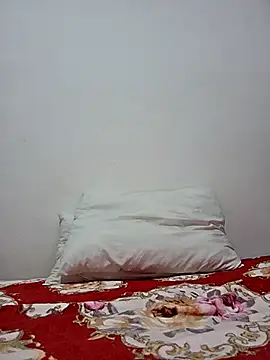 altinya webcam