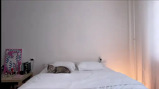Milky___Way webcam