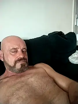 wilkalfa webcam