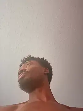 Preview of dracogotti