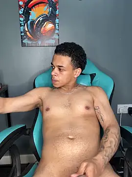 l-laross webcam