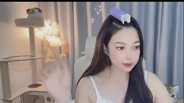 facai-feifei webcam