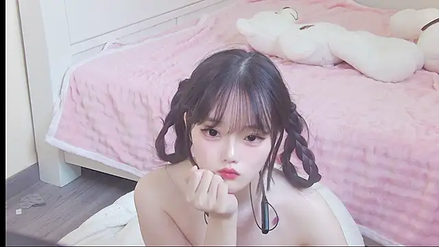 NINI531 webcam