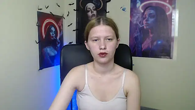 StellaCRL webcam