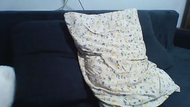 KaelNox webcam