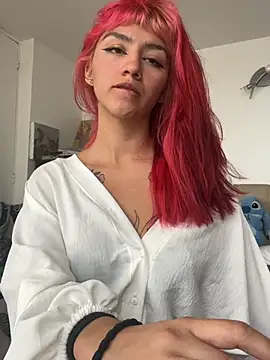 nth-li webcam