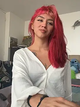 nth-li webcam
