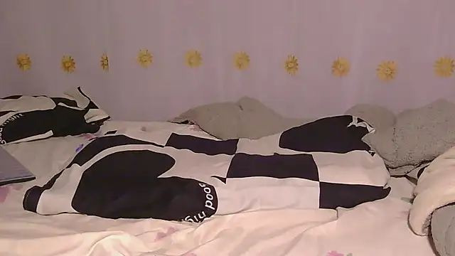 Dic_star webcam