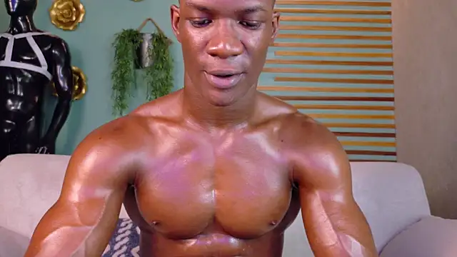 martin_killer webcam