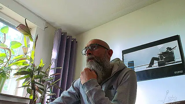 Kingsscepter webcam