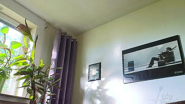 Kingsscepter webcam