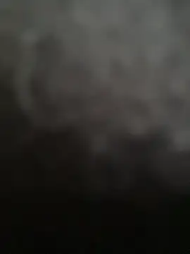 Dantekent webcam