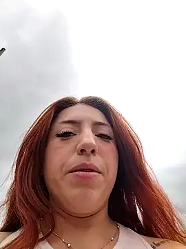 Sofhi_a20 webcam