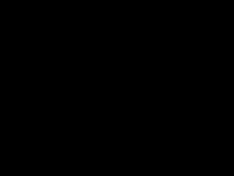 Chiennemale68@xh webcam