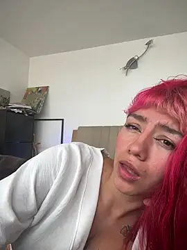 nth-li webcam